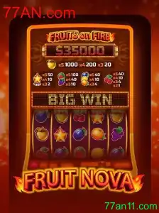 FruitNova: Descubra o Fascinante Mundo do Novo Jogo de Slot